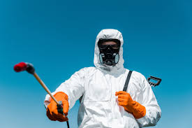 Best Termite Inspection and Treatment  in Culloden, WV